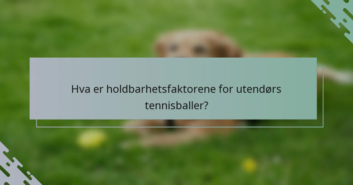Hva er holdbarhetsfaktorene for utendørs tennisballer?