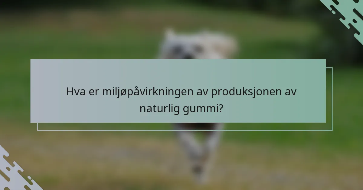 Hva er miljøpåvirkningen av produksjonen av naturlig gummi?