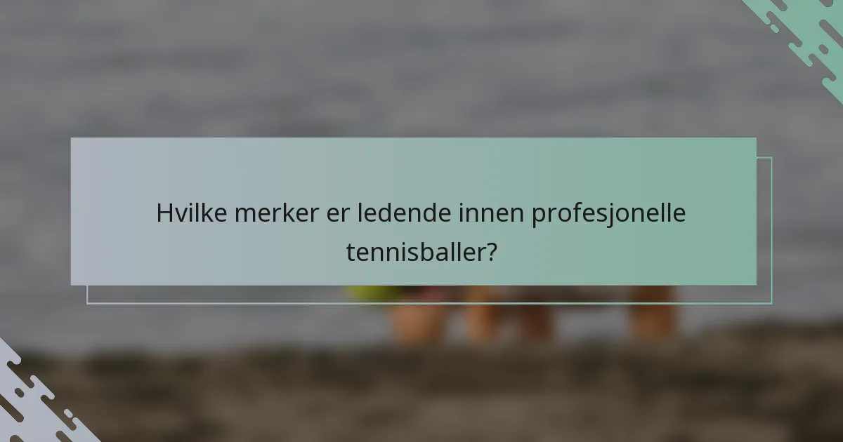 Hvilke merker er ledende innen profesjonelle tennisballer?