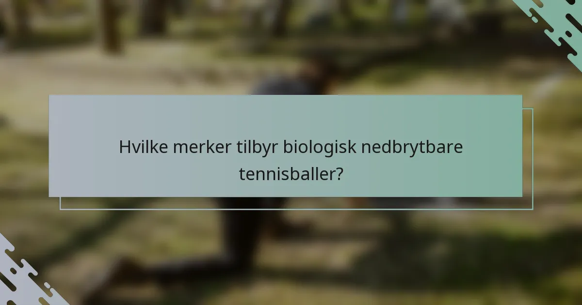Hvilke merker tilbyr biologisk nedbrytbare tennisballer?